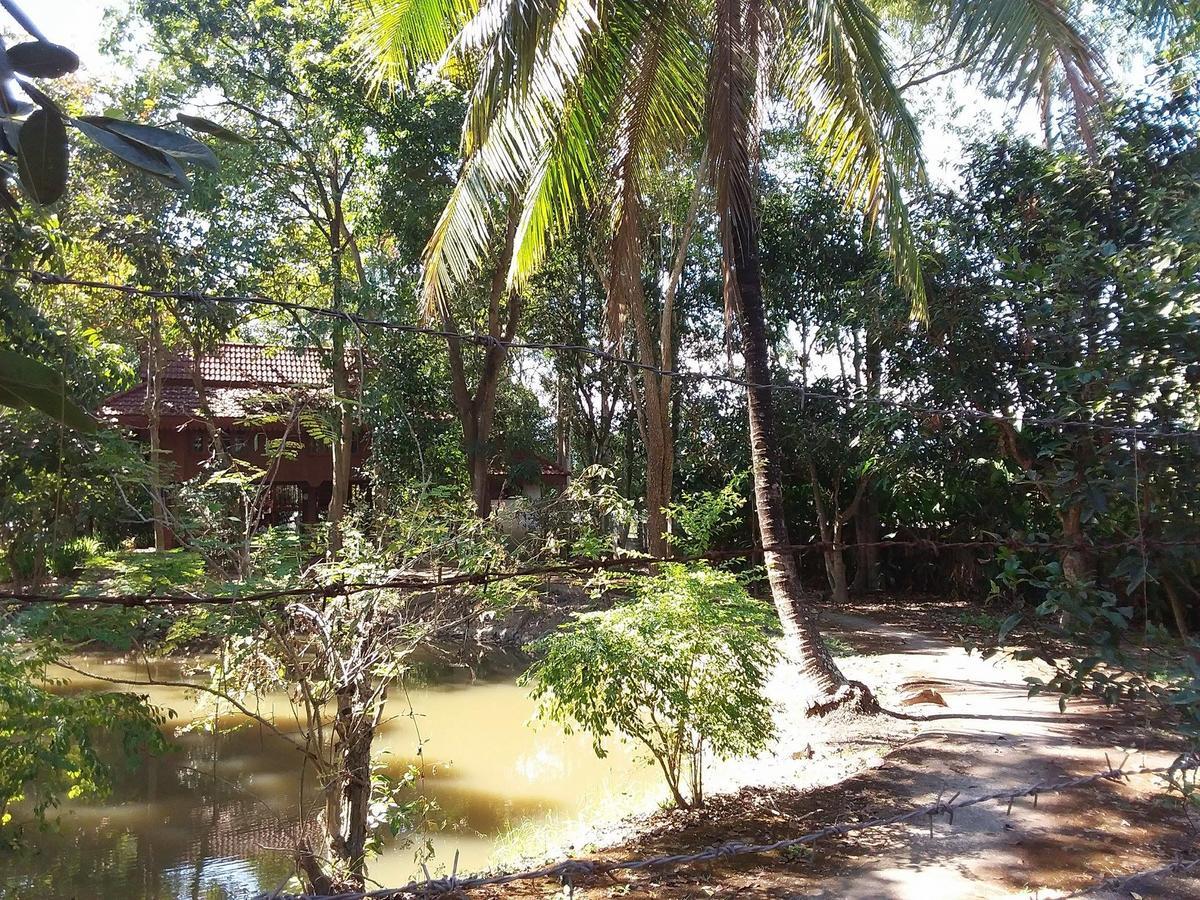 Your Home In Mae Rim Ban Muang Pha Exteriér fotografie