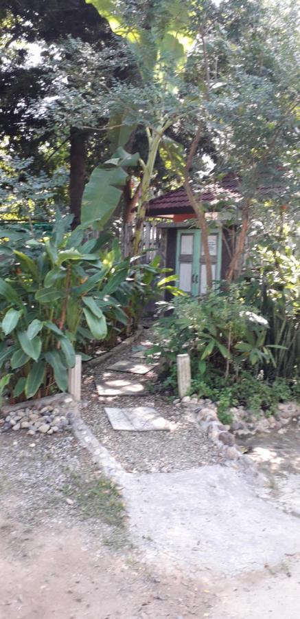 Your Home In Mae Rim Ban Muang Pha Exteriér fotografie